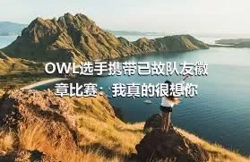 OWL选手携带已故队友徽章比赛：我真的很想你