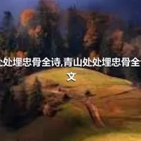 青山处处埋忠骨全诗,青山处处埋忠骨全诗及译文