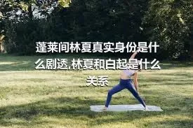 蓬莱间林夏真实身份是什么剧透,林夏和白起是什么关系