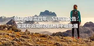 银湖网爆雷四年，ST熊猫公告：家属称近期得知赵伟平被批捕