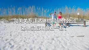 完美关系江达琳结局是什么,江达琳最后和谁在一起了