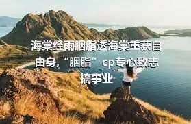 海棠经雨胭脂透海棠重获自由身,“胭脂”cp专心致志搞事业