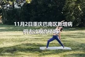 11月2日重庆巴南区新增病例去过观音桥吗？