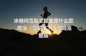 冰糖炖雪梨主题曲是什么歌,周深《雪花落下》歌词完整版