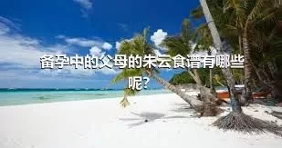 备孕中的父母的朱云食谱有哪些呢？