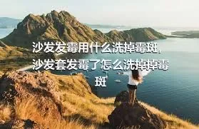 沙发发霉用什么洗掉霉斑，沙发套发霉了怎么洗掉掉霉斑