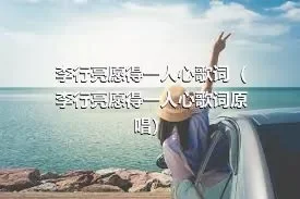 李行亮愿得一人心歌词（李行亮愿得一人心歌词原唱）