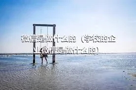 微信是做什么的（学校的企业微信是做什么的）