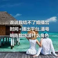 谁说我结不了婚播出时间+播出平台,潘粤明陈数饰演什么角色