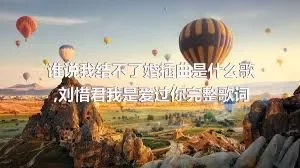 谁说我结不了婚插曲是什么歌,刘惜君我是爱过你完整歌词