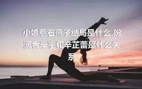 小娘惹石燕子结局是什么,扮演者辛宇和辛芷蕾是什么关系