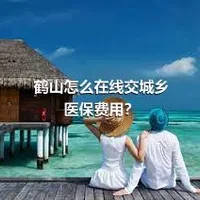 鹤山怎么在线交城乡医保费用？