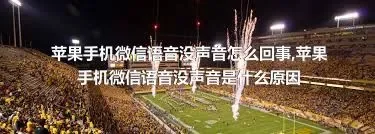 苹果手机微信语音没声音怎么回事,苹果手机微信语音没声音是什么原因