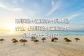 刑事案件立案条件具体是什么（刑事案件立案条件具体是什么内容）