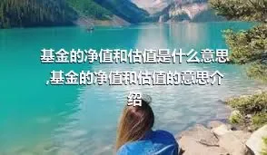 基金的净值和估值是什么意思,基金的净值和估值的意思介绍