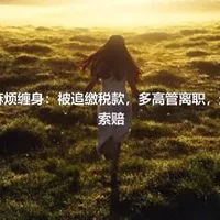 丹邦科技麻烦缠身：被追缴税款，多高管离职，还面临股民索赔