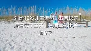 刘烨12岁儿子近照！五官长开后真成了王子，气质忧郁比爸帅多了