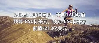 财联社1月13日电，美国12月政府预算-850亿美元，预期-650亿美元，前值-213亿美元。