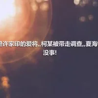 都是许家印的爱将,,柯某被带走调查,,夏海钧却没事!