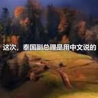 这次，泰国副总理是用中文说的