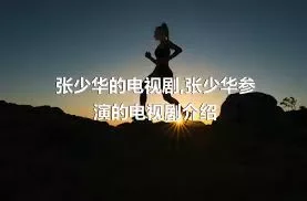 张少华的电视剧,张少华参演的电视剧介绍