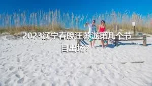 2023辽宁春晚汪苏泷第几个节目出场？