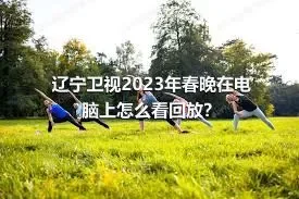 辽宁卫视2023年春晚在电脑上怎么看回放？