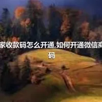 微信商家收款码怎么开通,如何开通微信商家收款码