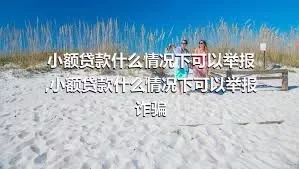 小额贷款什么情况下可以举报,小额贷款什么情况下可以举报诈骗