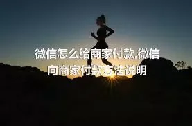 微信怎么给商家付款,微信向商家付款方法说明