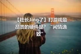 【社长Jing了】打游戏最昂贵的硬件是？“闲情逸致”