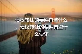 债权转让的要件有些什么，债权转让的要件有些什么要求