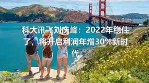 科大讯飞刘庆峰：2022年稳住了，将开启利润年增30%新时代