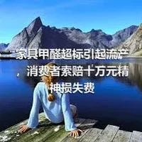 家具甲醛超标引起流产，消费者索赔十万元精神损失费