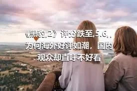 《黑豹,2》评分跌至,5.6,，为何海外好评如潮，国内观众却直呼不好看