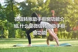 微信转账助手橱窗功能介绍,什么是微信转账助手橱窗功能