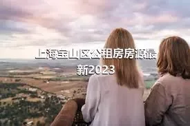 上海宝山区公租房房源最新2023