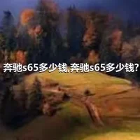 奔驰s65多少钱,奔驰s65多少钱?