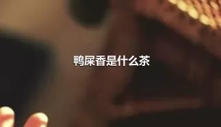 鸭屎香是什么茶