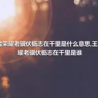 王者荣耀老骥伏枥志在千里是什么意思,王者荣耀老骥伏枥志在千里是谁