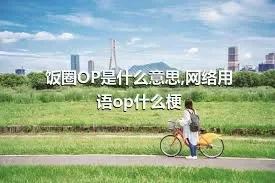 饭圈OP是什么意思,网络用语op什么梗