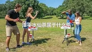 漳平水仙茶属于什么茶