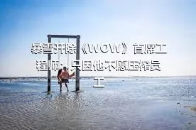 暴雪开除《WOW》首席工程师：只因他不愿压榨员工