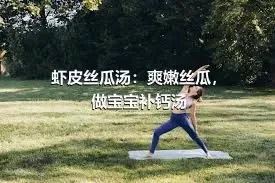 虾皮丝瓜汤：爽嫩丝瓜，做宝宝补钙汤