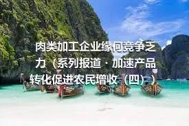 肉类加工企业缘何竞争乏力（系列报道・加速产品转化促进农民增收（四））