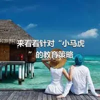 来看看针对“小马虎”的教育策略