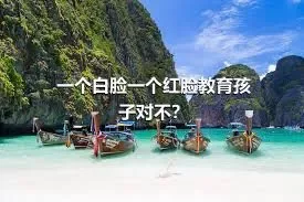 一个白脸一个红脸教育孩子对不？