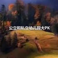 公立和私立幼儿园大PK