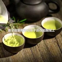 亲子启蒙教育让孩子赢在起跑线上