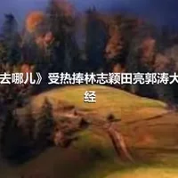 《爸爸去哪儿》受热捧林志颖田亮郭涛大谈育儿经